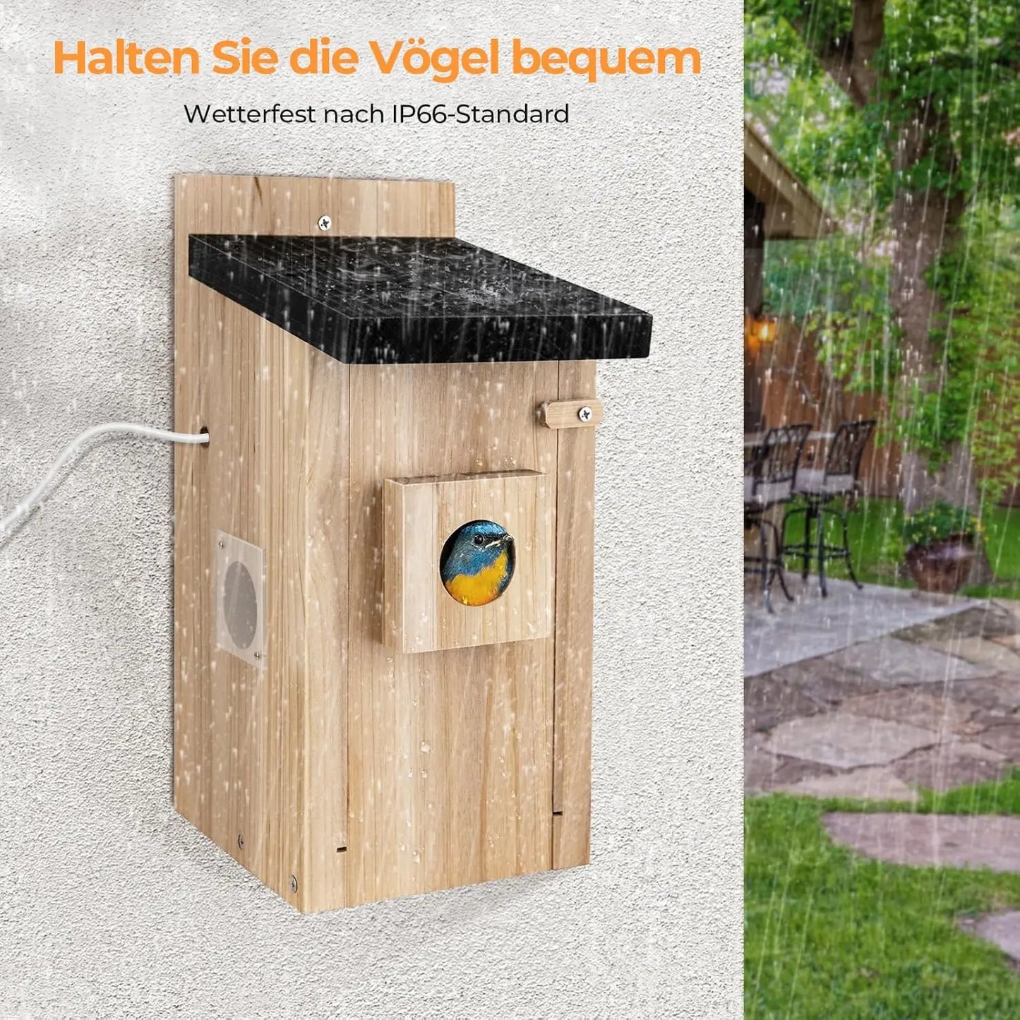 Real-Time Observation of Nest Construction 5 Million Pixel Outdoor Birdhouse Camera DIY Birdhouse Nest Box with Camera