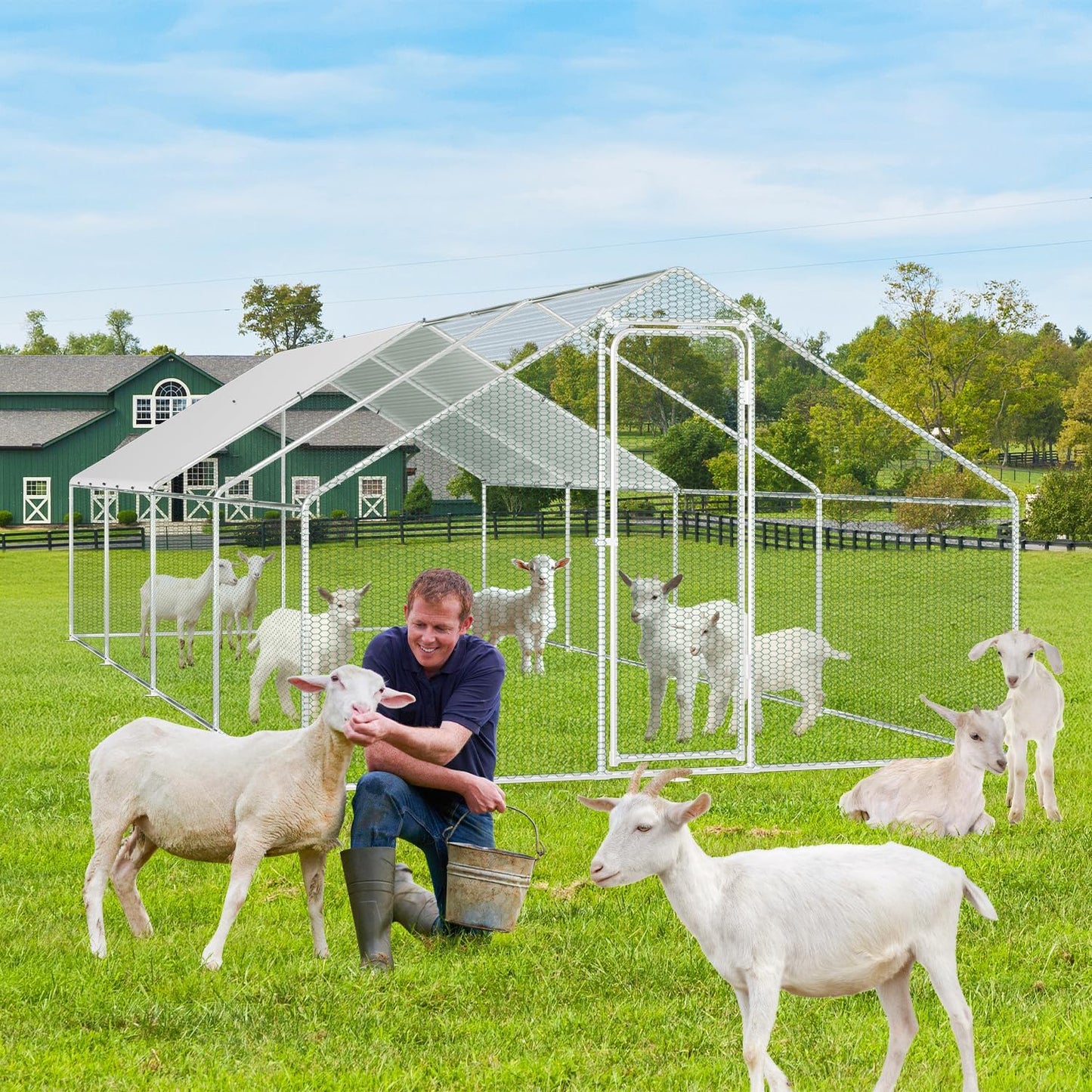 Gallinero Jaulas Para Animales Pequeños, 3 X 8 X 2 M, XXL, Con Cerradura De Seguridad Y Paño De Polietileno Impermeable, Ideal Para Pollos Y Otros Animales Pequeños