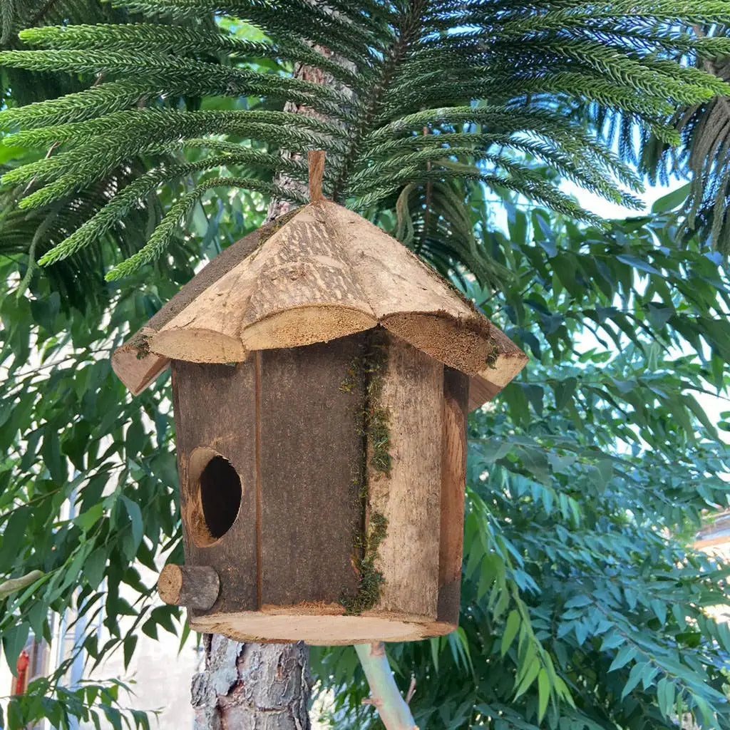 Nido De Pájaro De Madera Exterior, Decoración Natural, Cabaña De Pájaros, Casa De Colibrí Para Manualidad Casera, Nido De Pájaro Salvaje, Liquidación, Decoración De Casa De Pájaros De Jardín